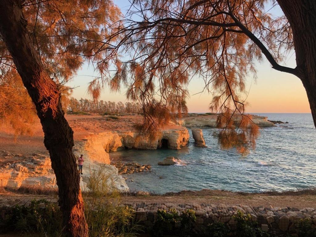 Cozy Apartment In Paphos Beautiful Complex Εξωτερικό φωτογραφία